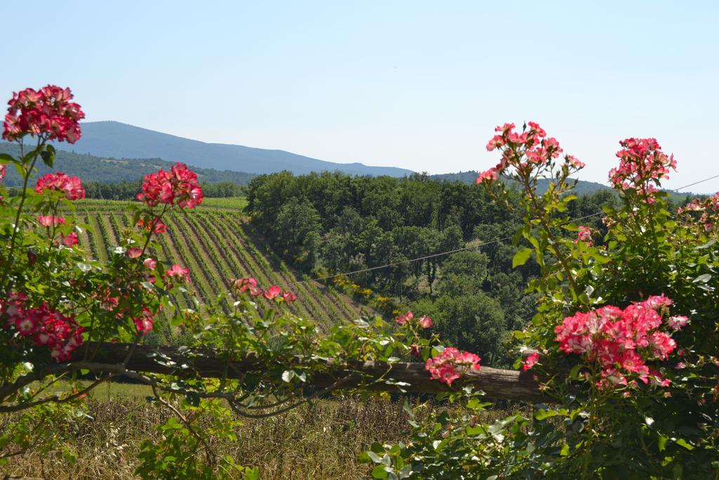 Agriturismo Cignanbianco 卡斯特利纳－因基安蒂 外观 照片