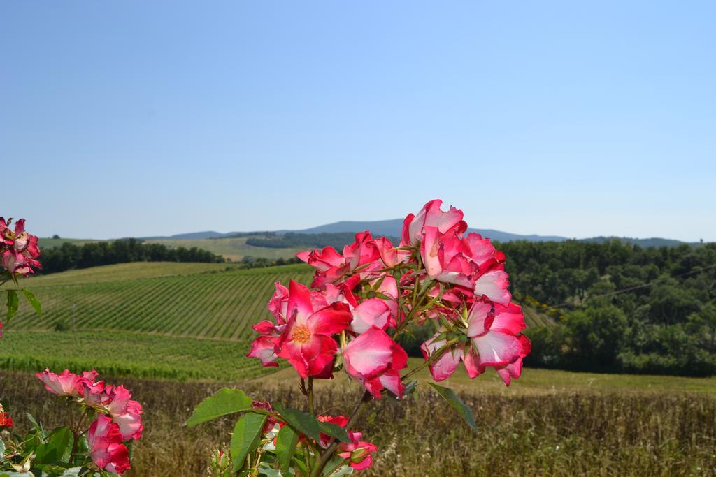 Agriturismo Cignanbianco 卡斯特利纳－因基安蒂 外观 照片